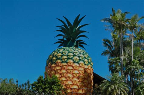 The Big Pineapple's $116 million revival