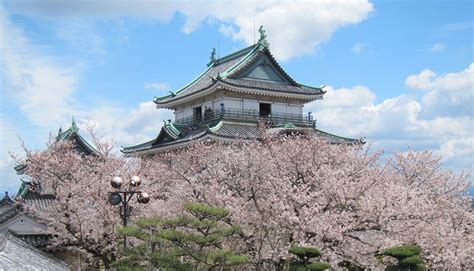 4 Best Places to See Cherry Blossom in Wakayama | Kyuhoshi