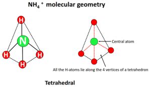 NH4+ lewis structure, molecular geometry, bond angle, hybridization