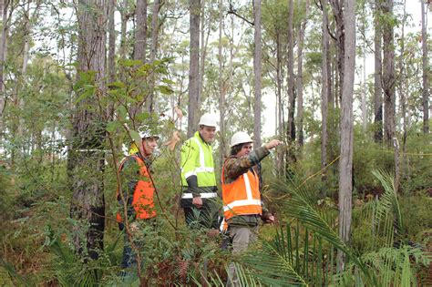 News & Events - WA & VIC Demonstrate Sustainable Forestry