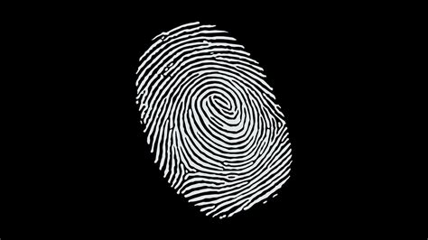 white finger print illustration #minimalism black background #black #white #abstract #monochrome ...