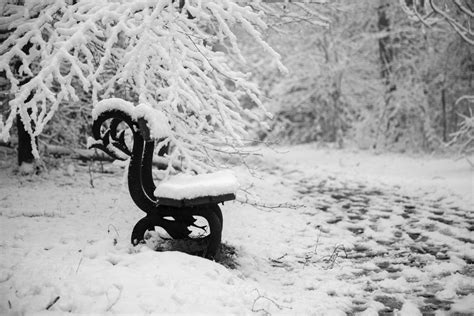 Bench Free Stock Photo - Public Domain Pictures