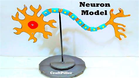 neuron model making for science fair project | diy at home | CraftPiller | still model - YouTube