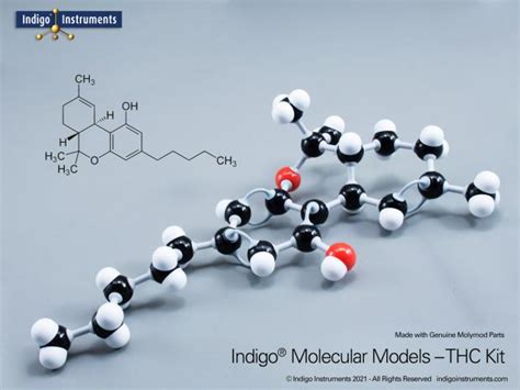 Tetrahydrocannibinol (THC) Molecular Model, Assembled