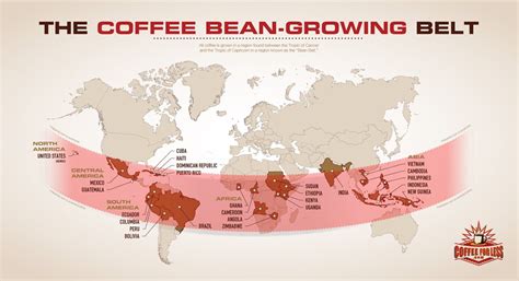 The coffee bean-growing belt - Vivid Maps | Coffee beans, Types of ...