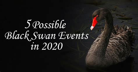 5 Possible Black Swan Events In 2020 - POEMS