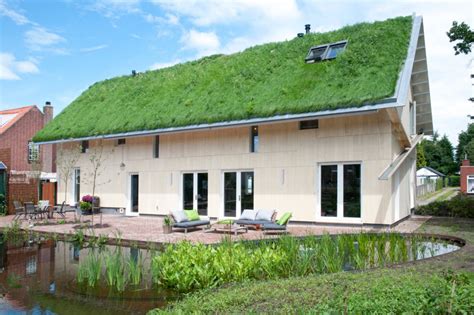 Grass Roof House Bold Design Project - Small Design Ideas