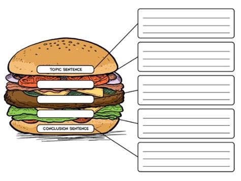 Hamburger Model Paragraph Writing