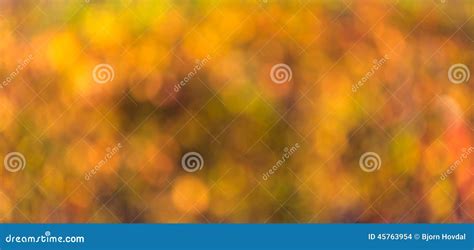 Autumn Blurred Abstract Background Stock Photo - Image of blurry, blurred: 45763954