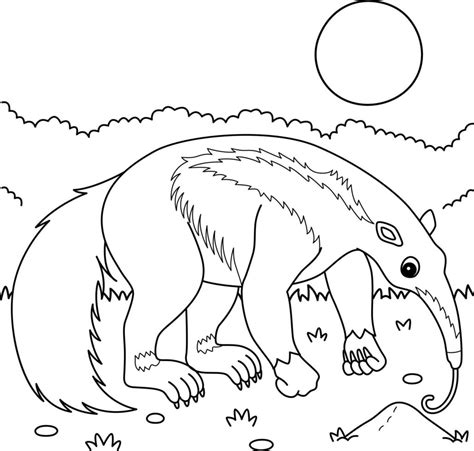 Giant Anteater Animal Coloring Page for Kids 11487114 Vector Art at ...