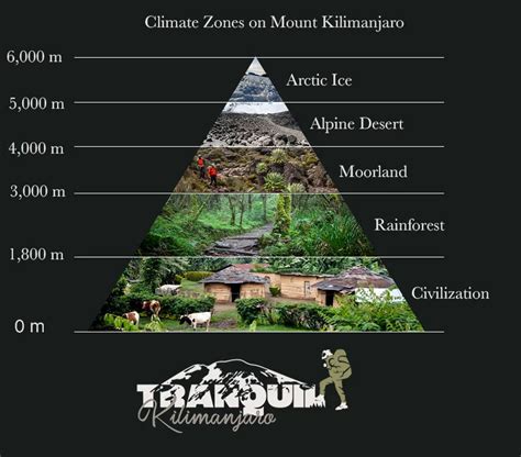 A comprehensive guide to climbing Mount Kilimanjaro