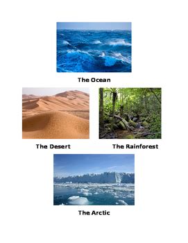 Different Types of Environment by Ten Below Teacher | TPT