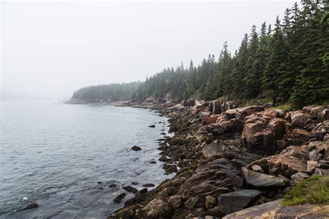 The Ocean Path Trail To Sand Beach At Acadia National Park - Roadesque