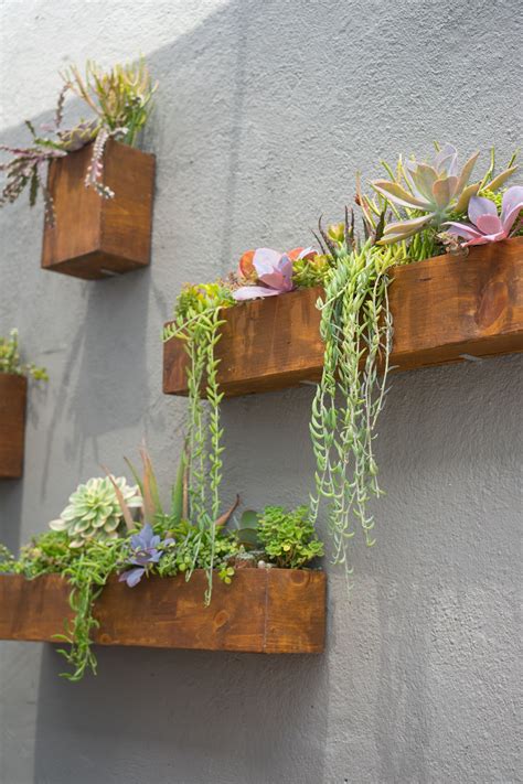 60 Wall Garden Ideas and Inspiration - Golly Gee Gardening