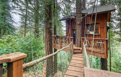 8 Beautiful California Treehouse Rentals You Can Book Now