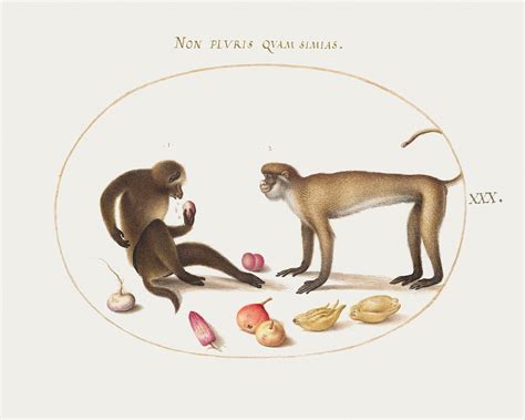 Two Monkeys (1575–1580) painting high | Free Photo Illustration - rawpixel