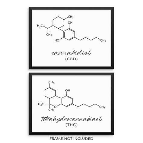 Thc Molecule Drawing