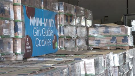 Girl Guide cookies are back in B.C. | CTV News