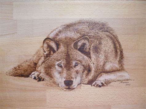 a drawing of a wolf laying down on a wooden surface