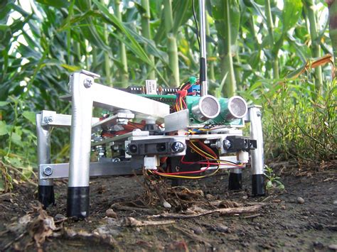 Robotic Farm Workers Will Soon Take Over Farming Tasks