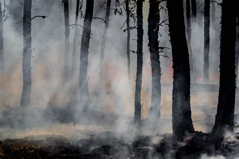 A Burning Issue: Cigarette Butts and Fire Risk — A Greener Future