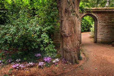 Photo journal of sorts: Anglesey Abbey gardens in bloom