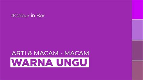 Arti Dan Macam - Macam Warna Ungu - YouTube