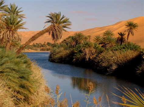 Oasis with lake in the Libyan Desert - Beautiful places. Best places in ...