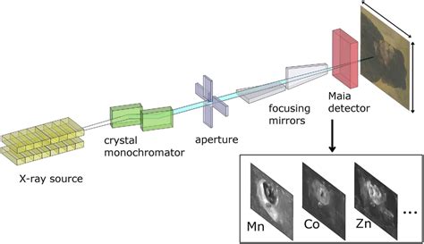 Simplified schematic of the synchrotron-based scanning X-ray... | Download Scientific Diagram