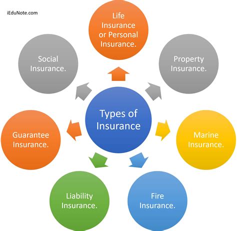 7 Types of Insurance