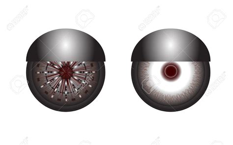 robotic eye clipart - Clipground