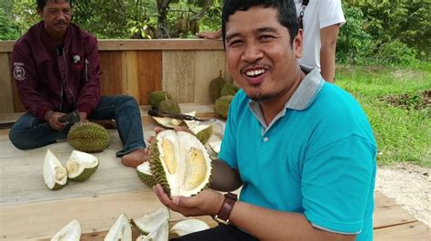 MAKAN DURIAN LOKAL DI KEBUN DURIAN MONTONG - YouTube