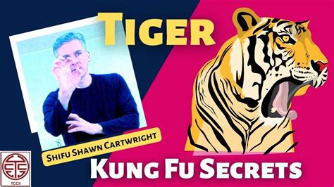 Tiger Kung Fu Style Animal Techniques & Applications - Kung Fu Secrets - YouTube