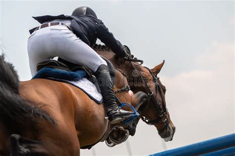 A Horse Jumping Themed Photograph, a Horse Jumping Over an Obstacle ...