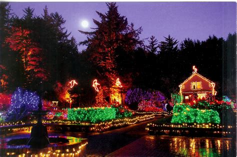 christmas lights park - Google Search | Best christmas light displays, Best christmas lights ...