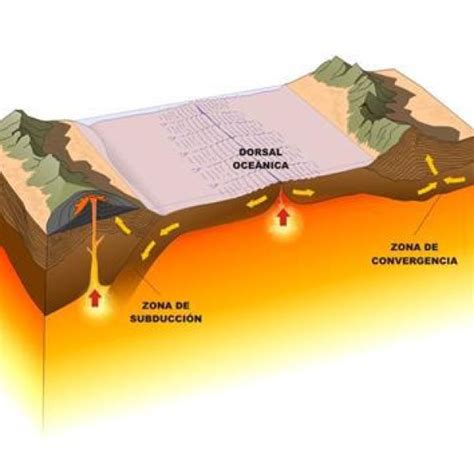 brillante Geometría Centelleo donde estan las placas tectonicas de la tierra oscuridad exilio ...