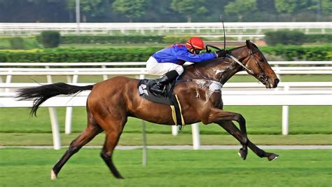 Jockey contre cheval dans les courses de chevaux - Nouvelles Du Monde