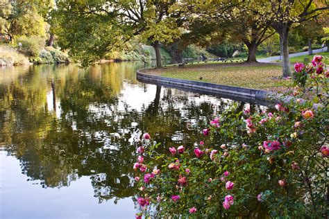 UC Davis Arboretum » Venue Vixens