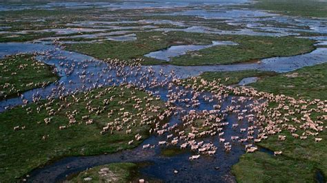 Un premier sommet réussi pour la baie d’Hudson, au Canada – Regard sur l'Arctique