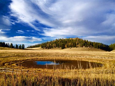 Kaibab National Forest | Smithsonian Photo Contest | Smithsonian Magazine