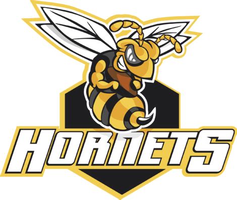 Download Transparent Hornet Logo Png - Hornets - PNGkit