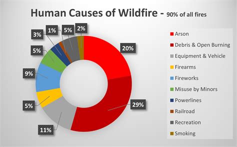 Cause Of Canada Wildfires 2024 - Zora Annabel