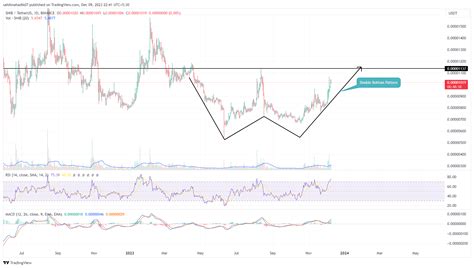 Shiba Inu Price Prediction: Will SHIB Surge 40% Before Christmas?