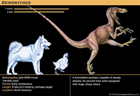 Deinonychus - Kids | Britannica Kids | Homework Help