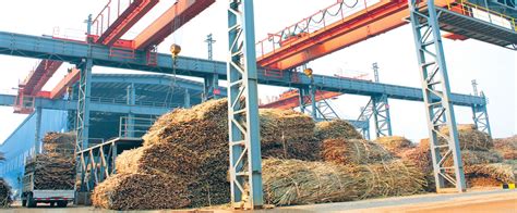 Southern Shan State sugar mill buys sugarcane at a record price of 1.5 ...