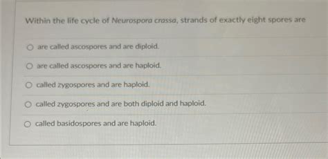 Solved Within the life cycle of Neurospora crassa, strands | Chegg.com