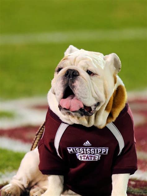 There once was a Mississippi State bulldog mascot named Rebel