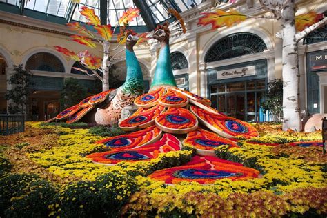 How the Bellagio makes its beautiful gardens so magical