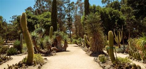 Arizona Garden | Stanford LBRE Facilities Operations