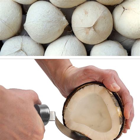 Welldoit 1 Pcs Coconut Knife Opener Tool Stainless Steel Coconut Meat Removal Knife with Wooden ...